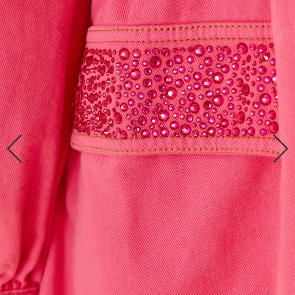 Farm Rio Barbie Pink Twill Hooded Parka Oversized Sz S - Picture 3 of 4